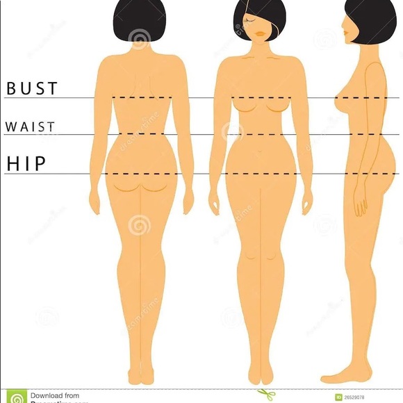 Salmon Loft brand blouse size m - Picture 8 of 8